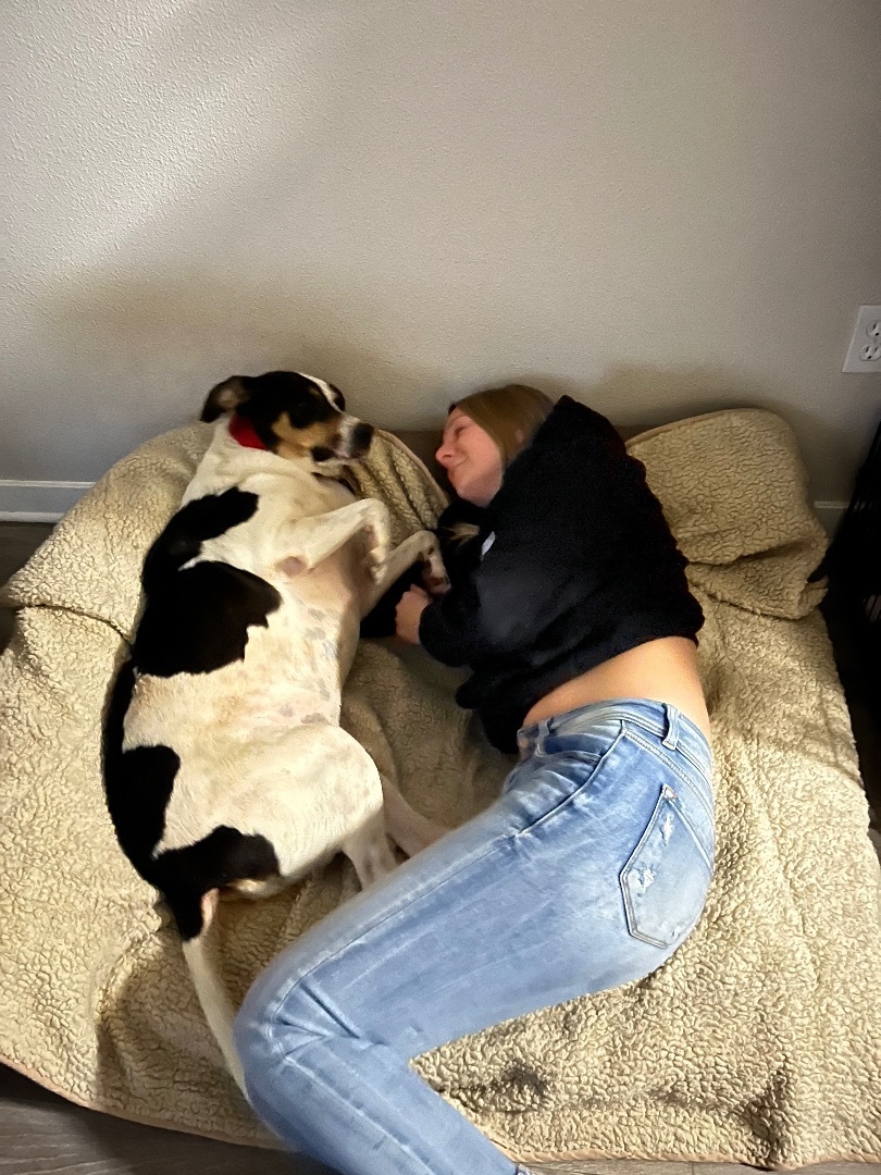 Enlarge Sheba, a Adopted mixed breed in West Linn, OR image 5/6