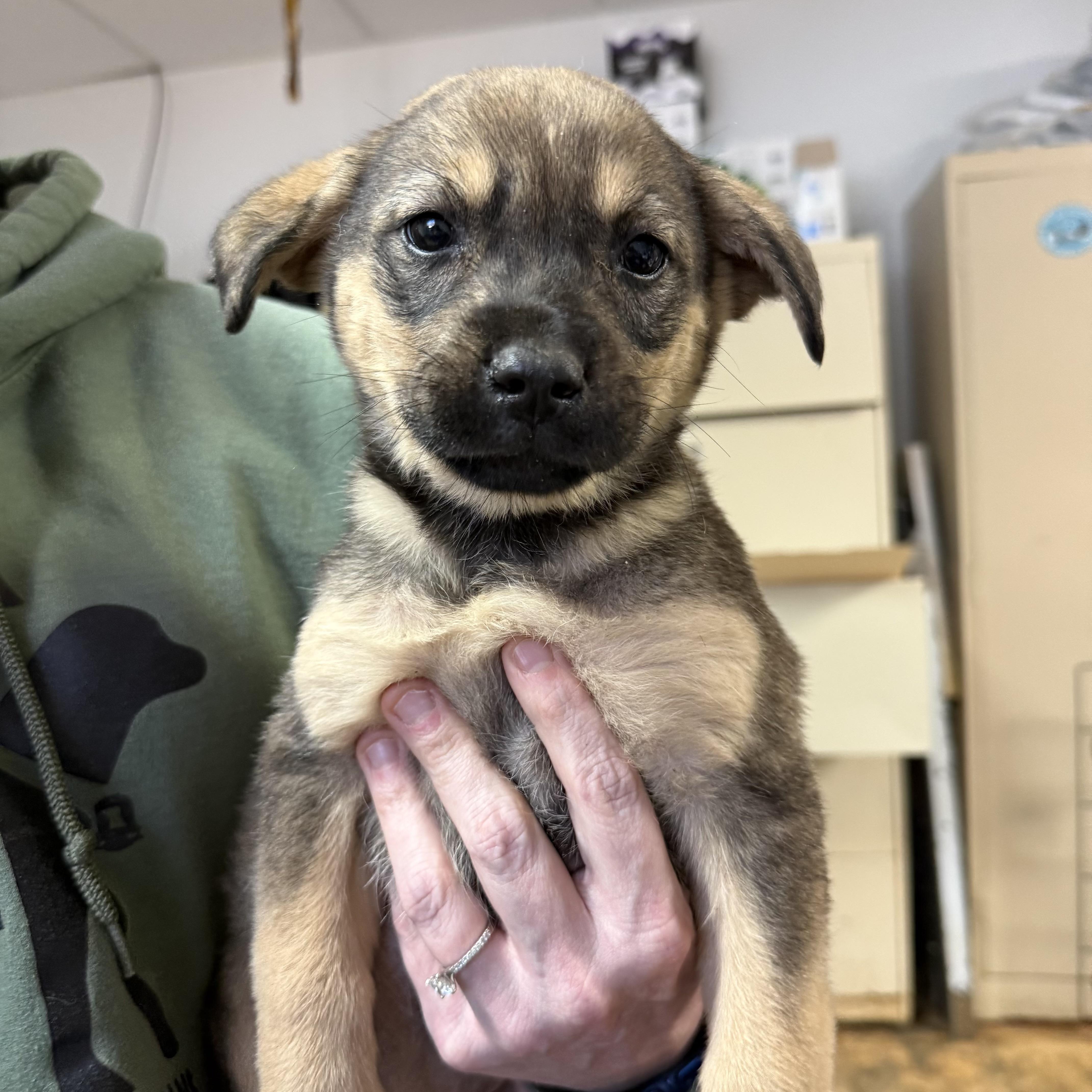 Pink House — thumbnail 2