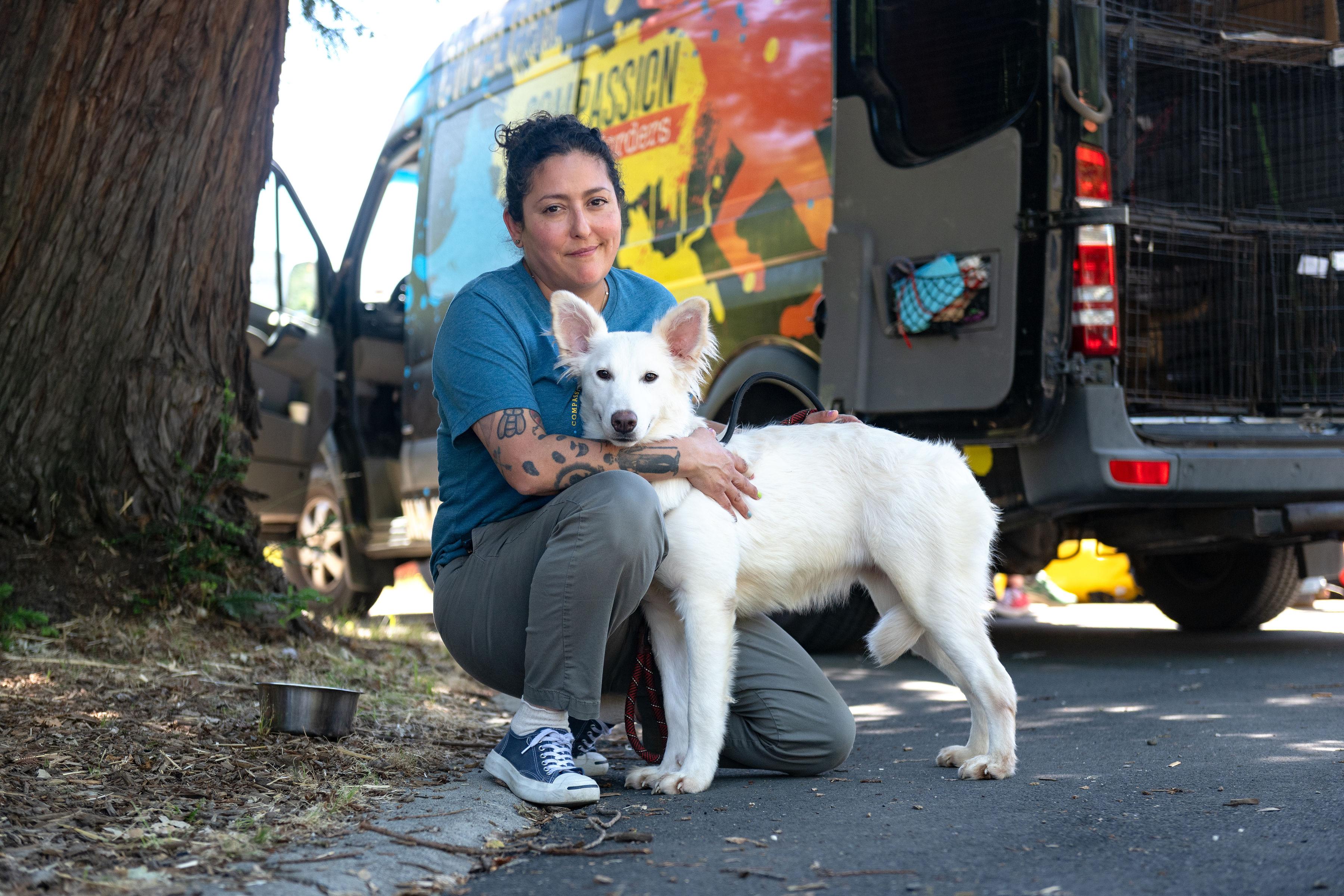 Sugar, an adopted mixed breed in Santa Rosa, CA image 5/6