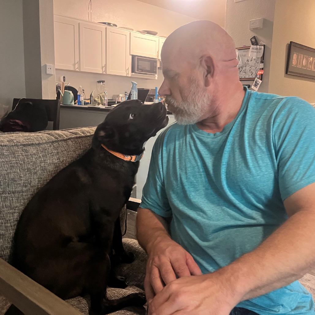 Miss Lexie, a Adoptable mixed breed in Bulverde, TX image 4/6