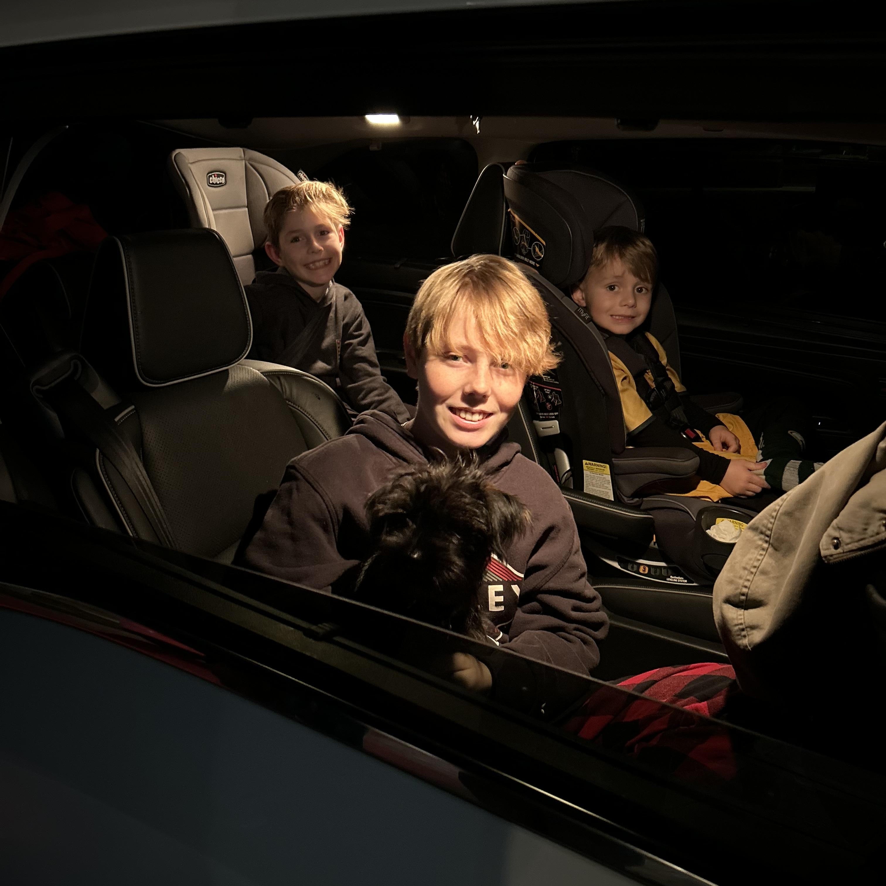 Enlarge Rascal  ADOPTED!, an adopted mixed breed in Bakersfield, CA image 4/4