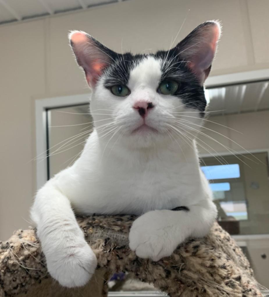 Jackson — thumbnail 2