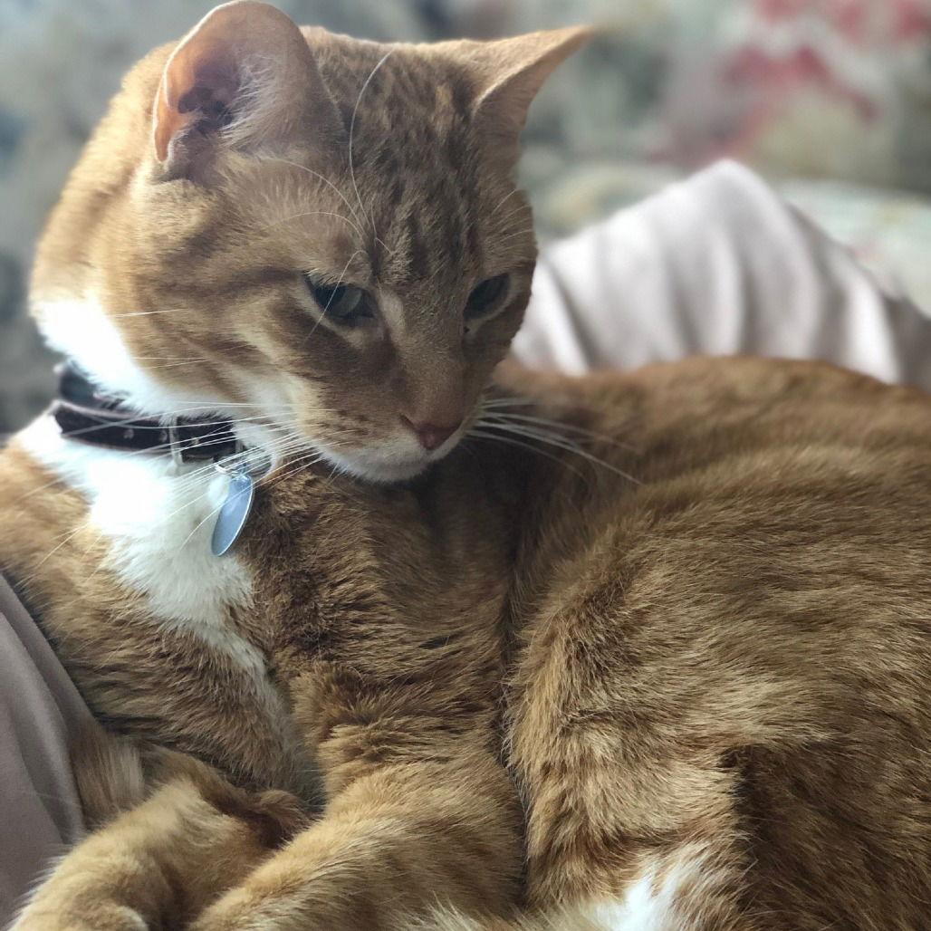 Charlie XVII (New Digs)