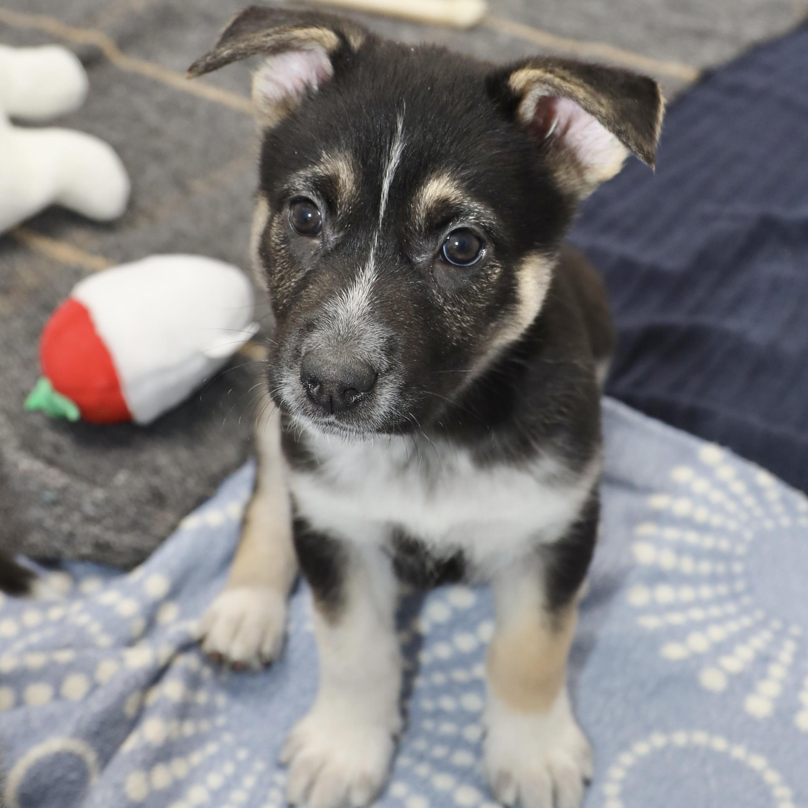 Kiara — thumbnail 2