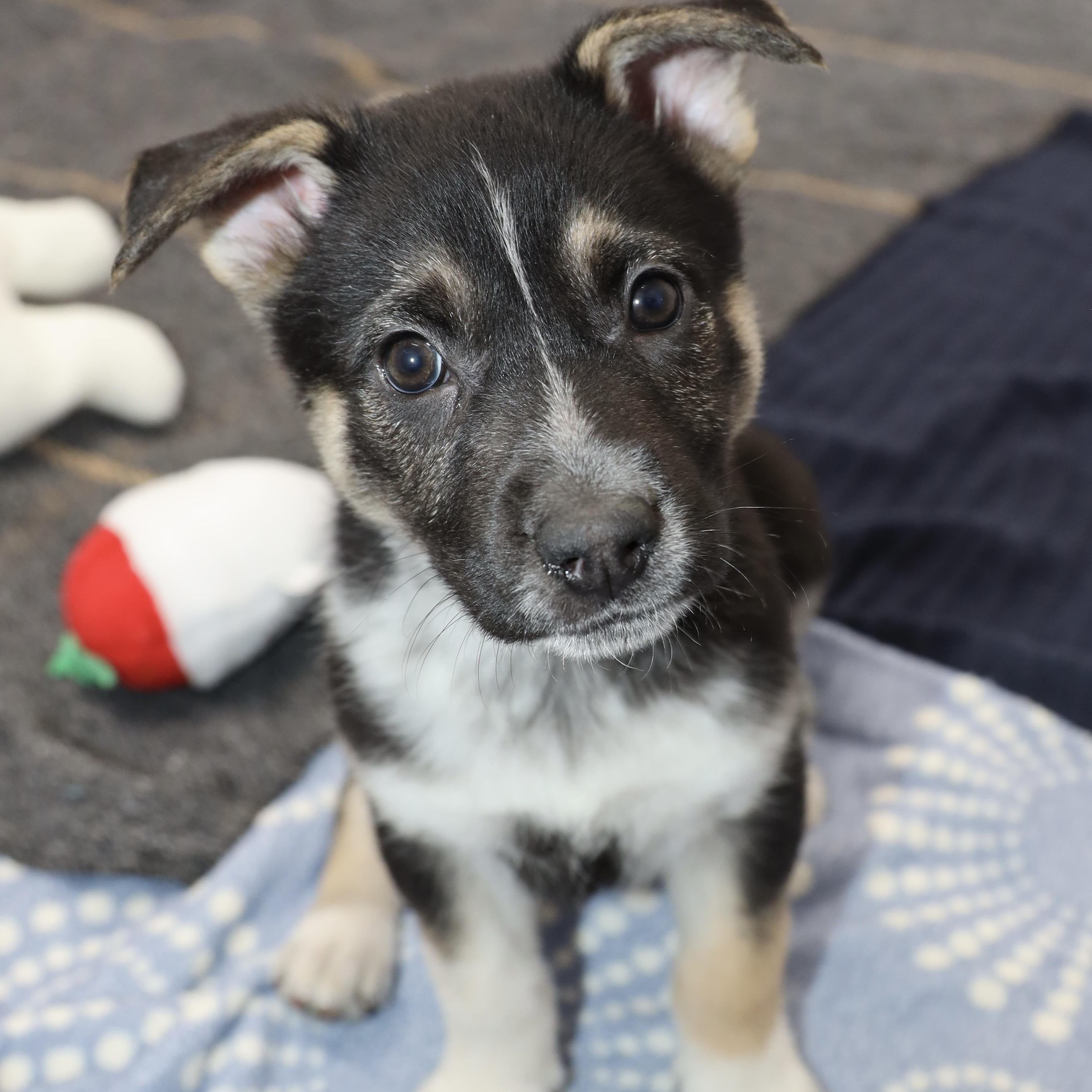 Kiara — thumbnail 3