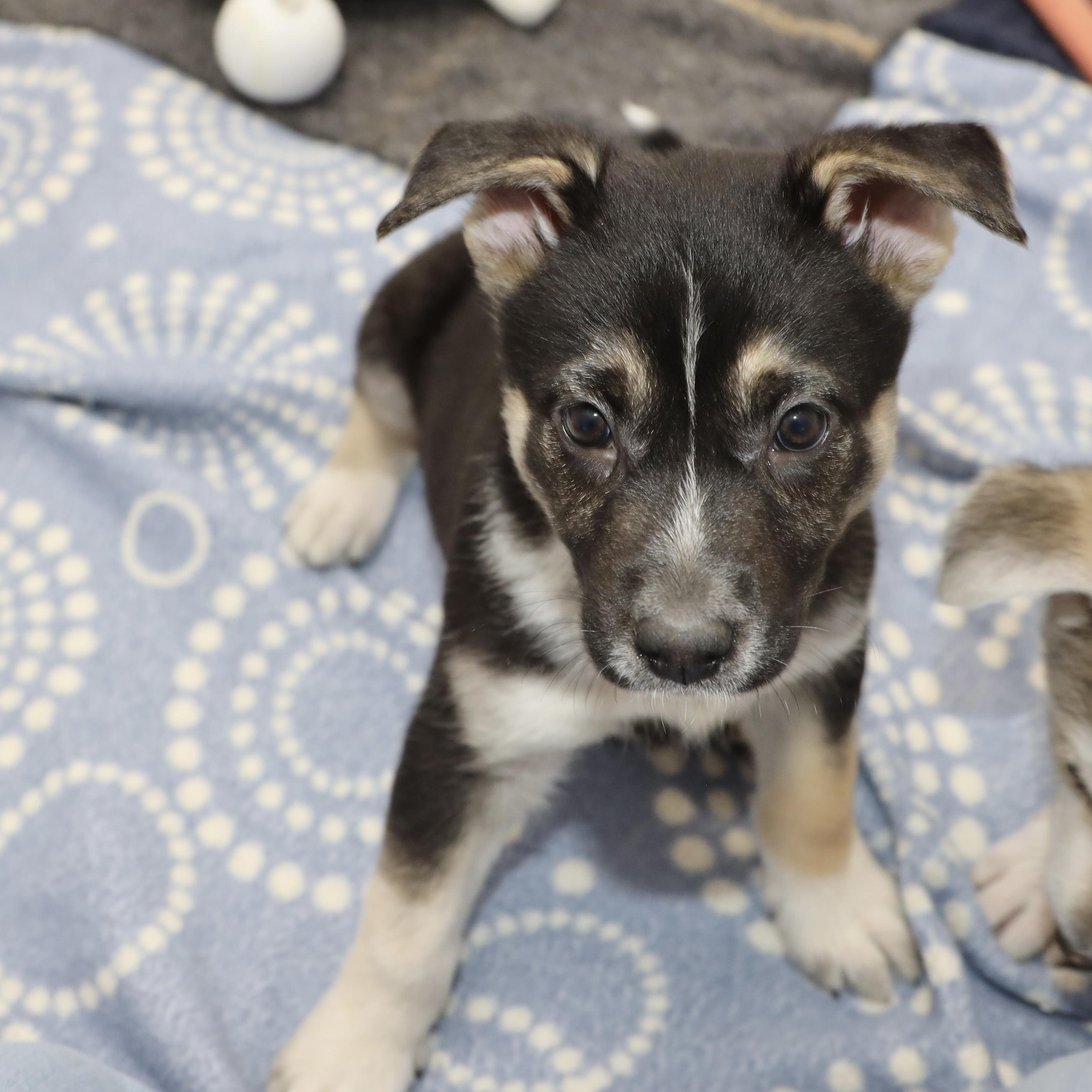 Kiara — thumbnail 5