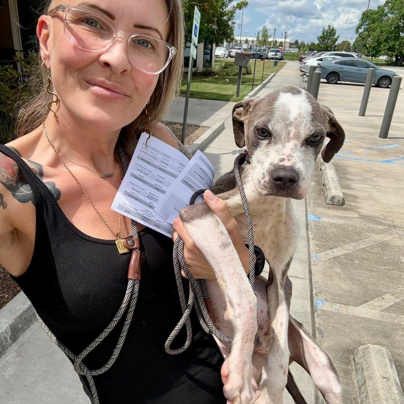 Enlarge Slim Jim (AKA Jimothy), a Adoptable mixed breed in New Orleans, LA image 5/6