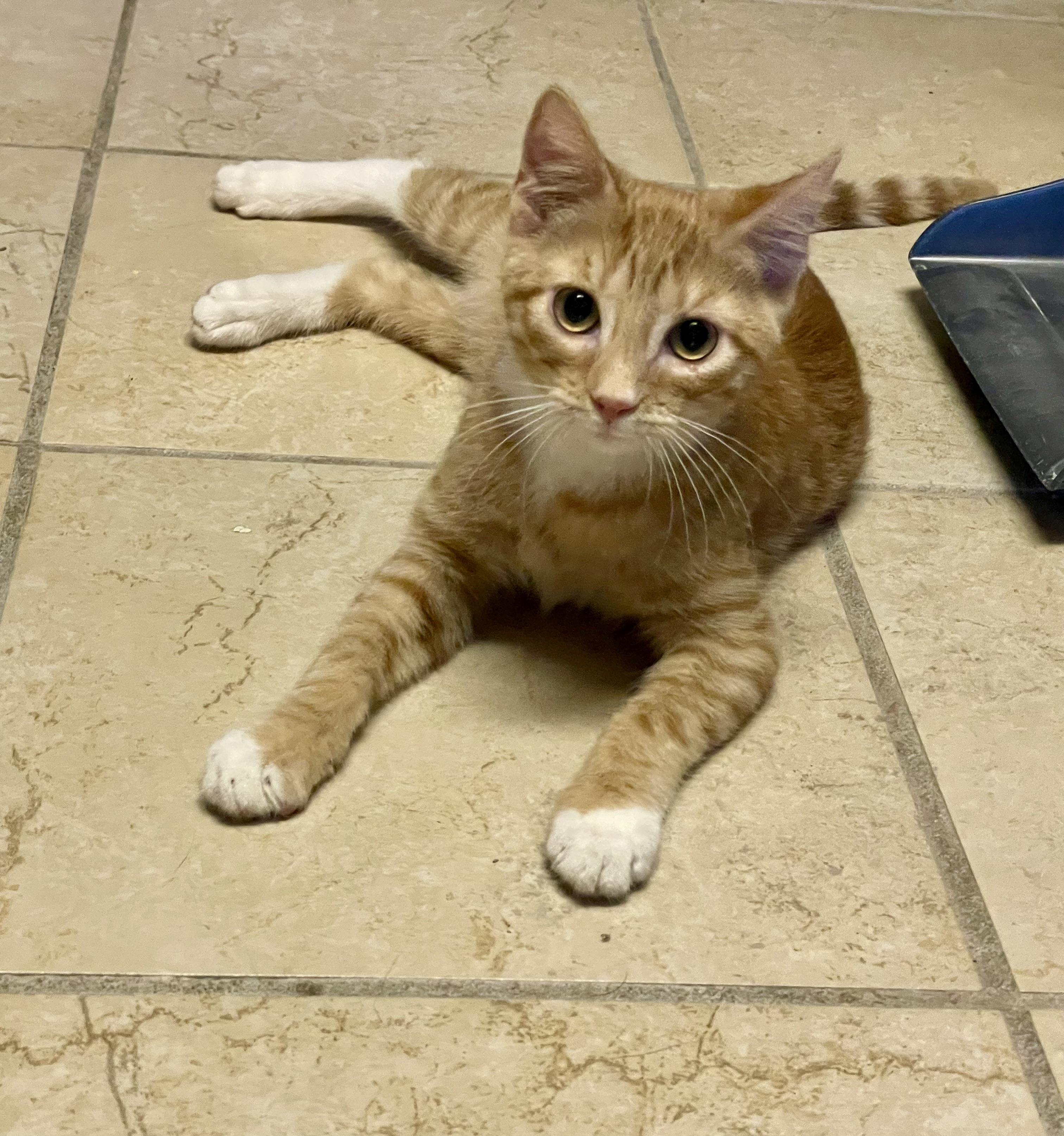 William