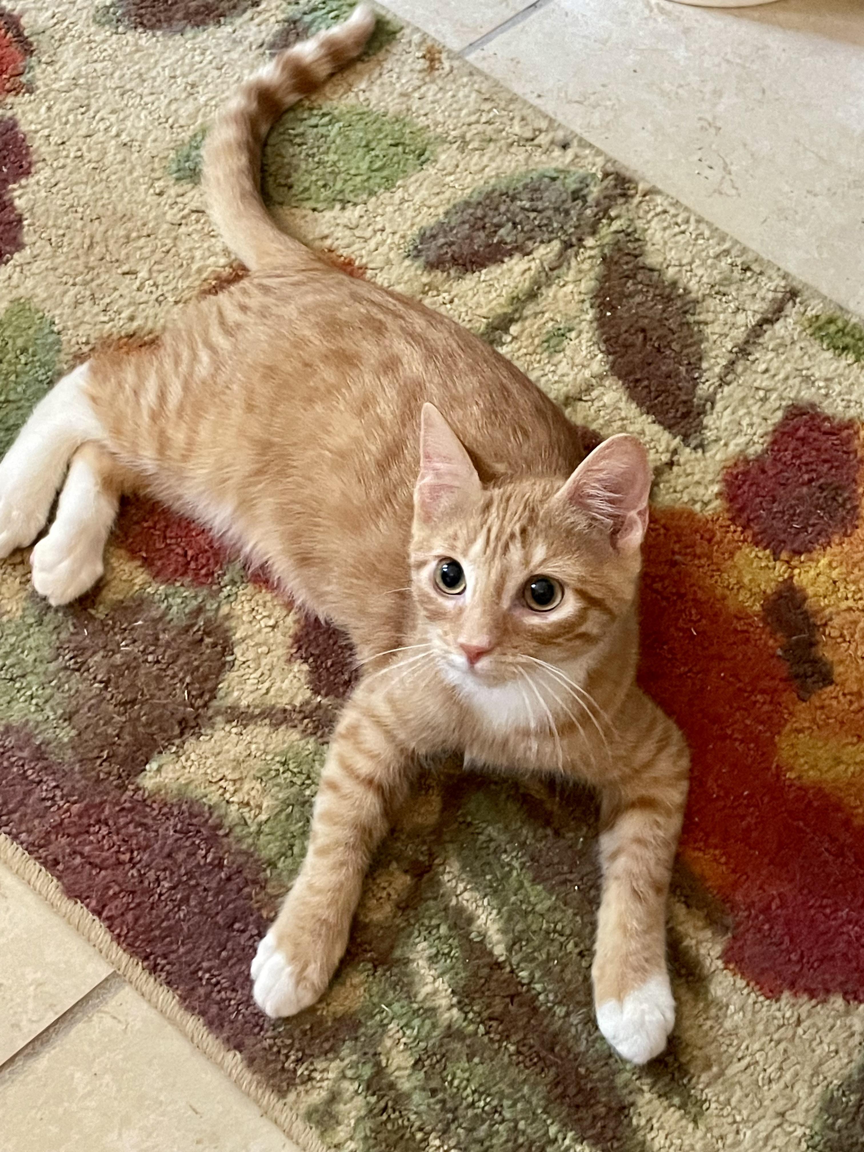 William