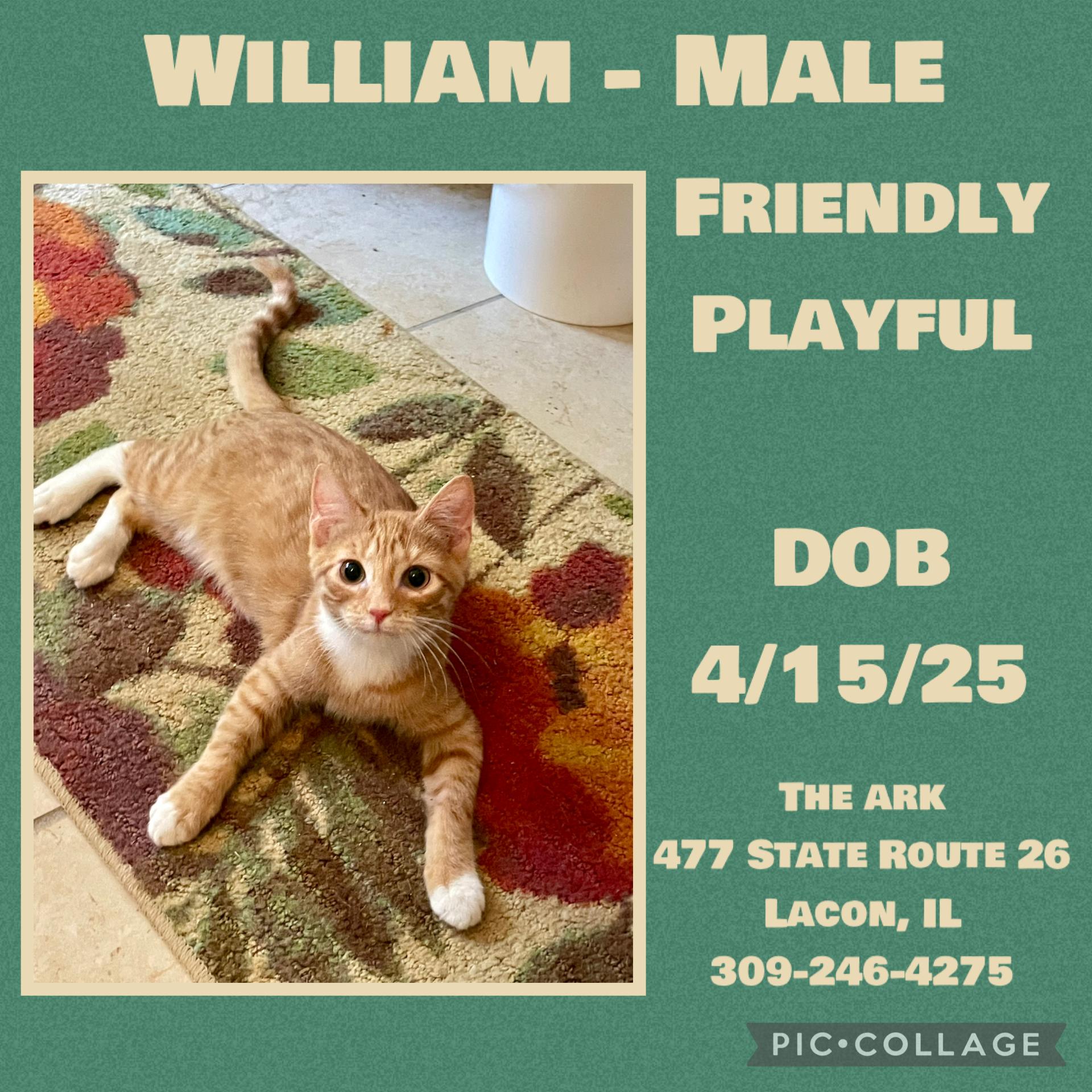 William