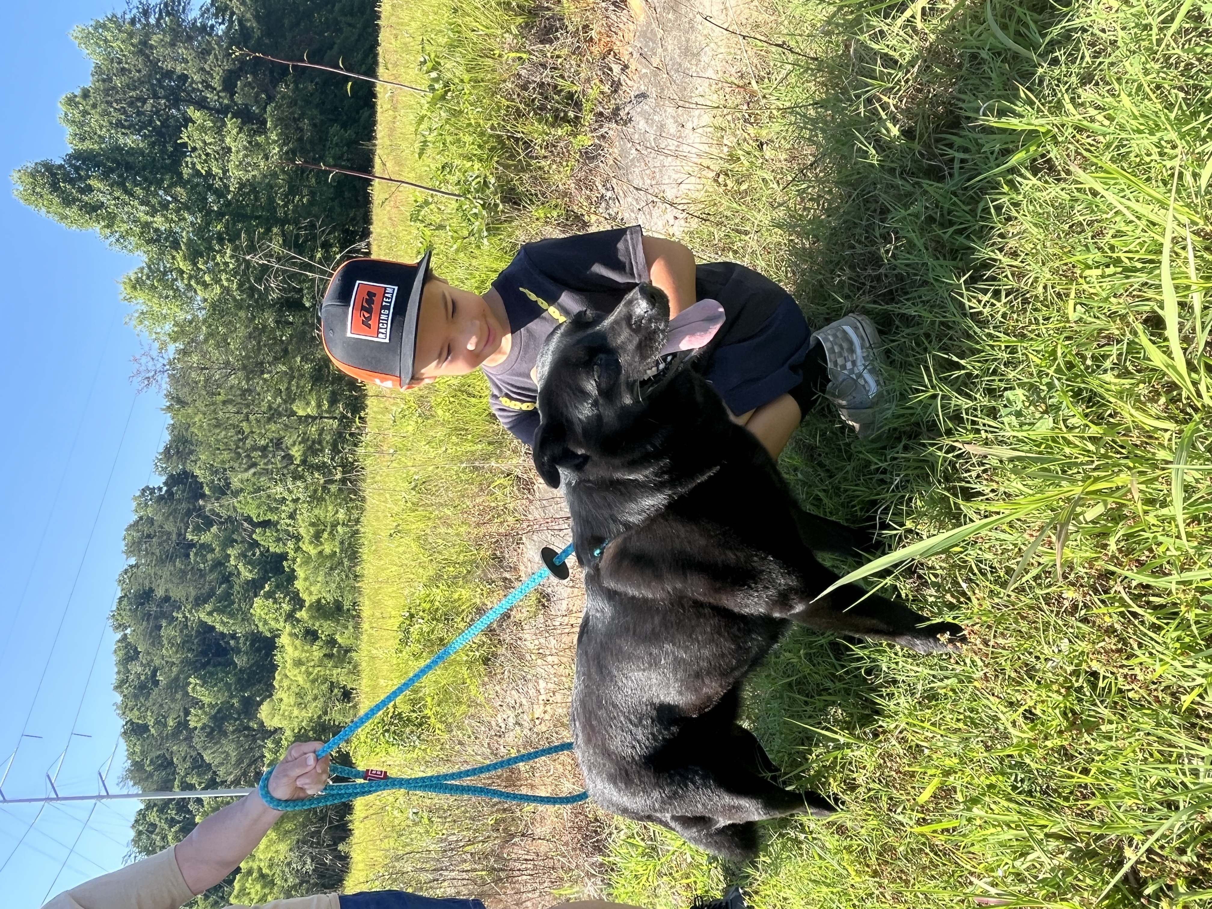 Sable, a Adopted mixed breed in Blue Ridge, GA image 6/6