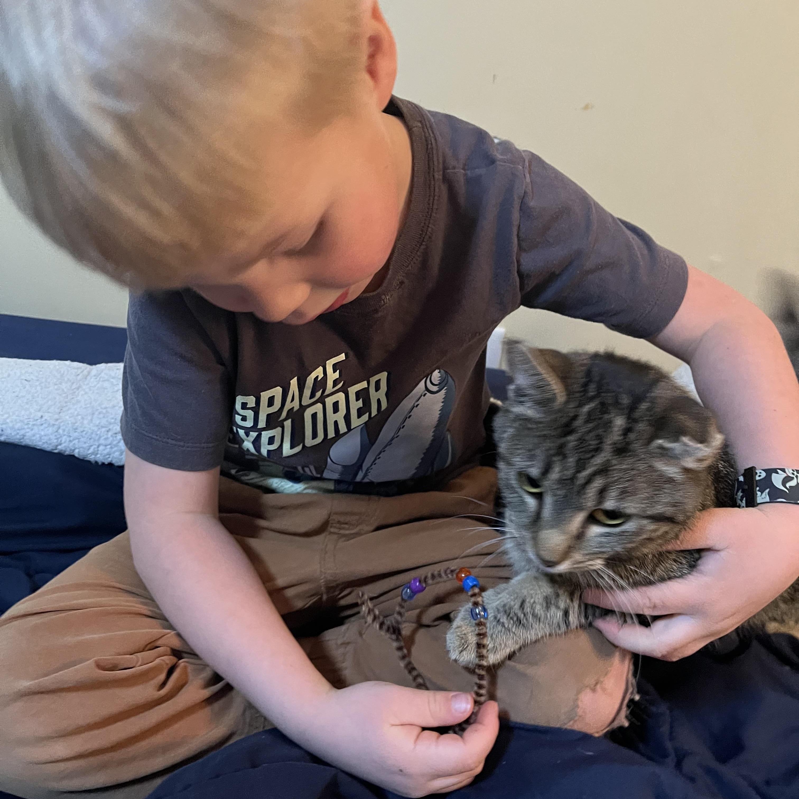 Enlarge Claressa , a ADOPTABLE mixed breed in Sanford, NC image 3/3