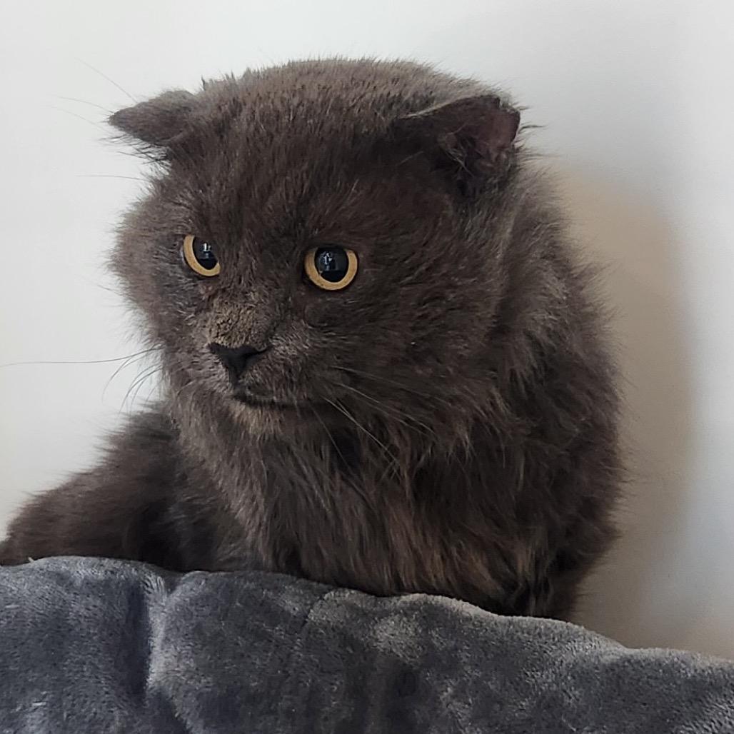 Mr. Man — thumbnail 2