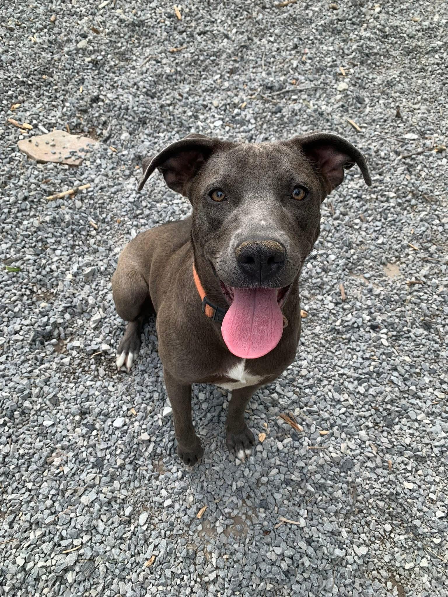 Mercedes thumbnail 2