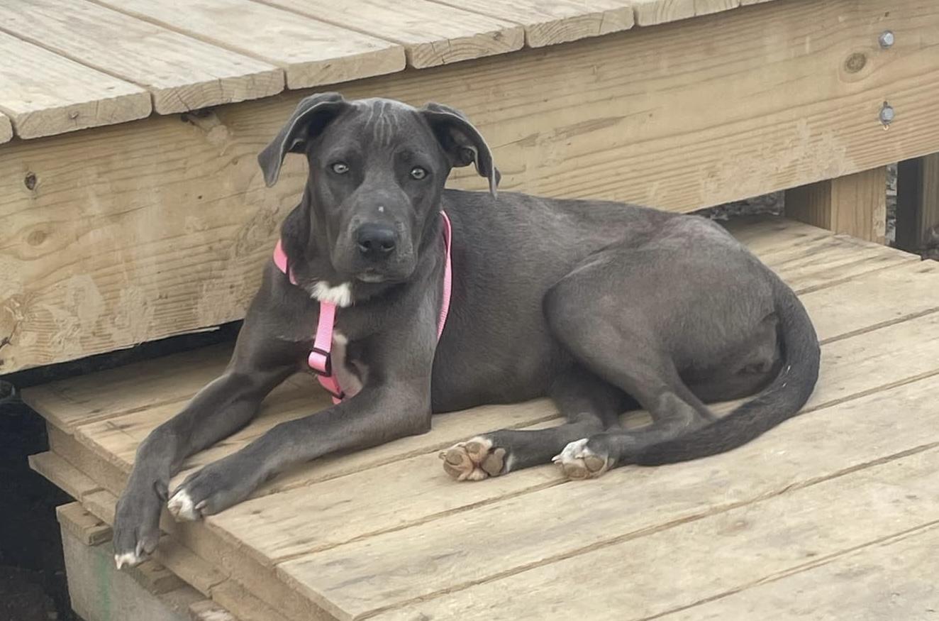 Mercedes thumbnail 3