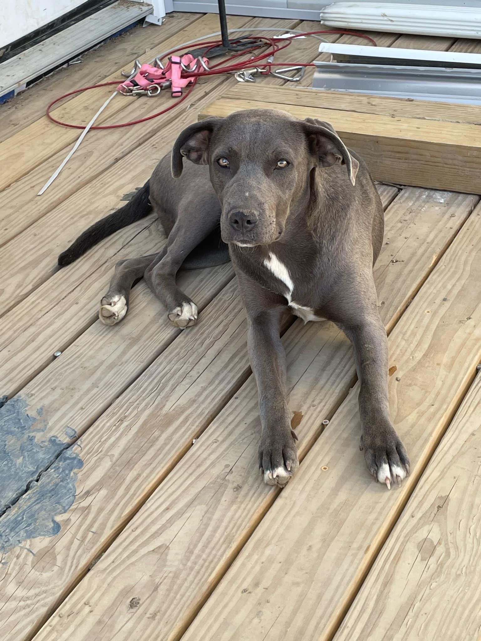 Mercedes thumbnail 4