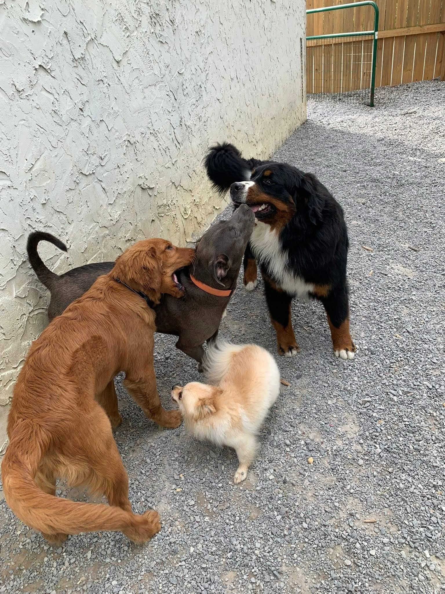 Mercedes thumbnail 5