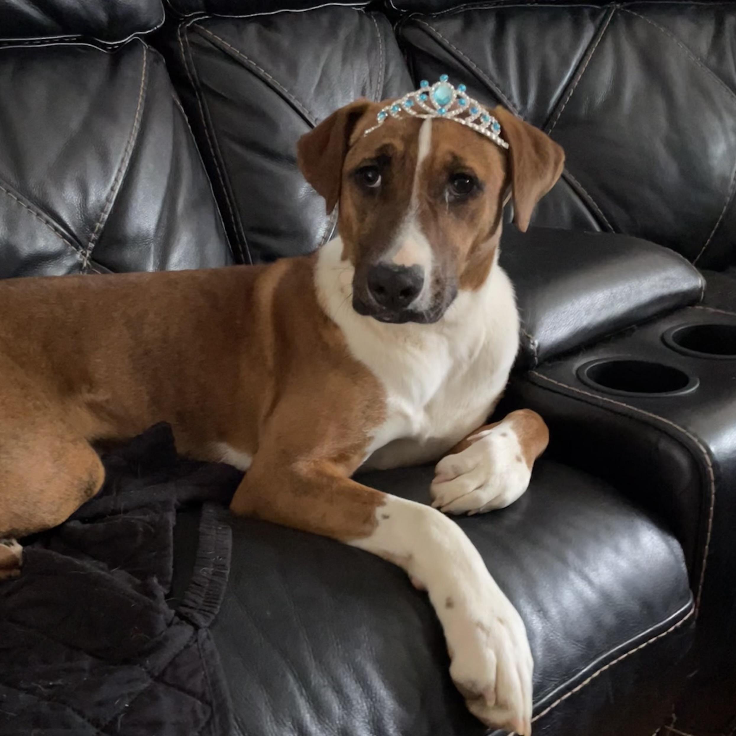 Harmony — thumbnail 5