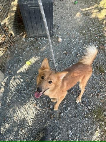 Tinkerbell thumbnail 2