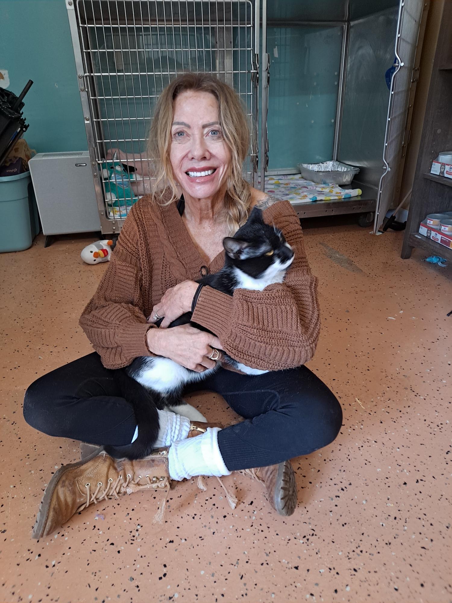 Enlarge Barry, a ADOPTABLE Domestic Short Hair in Galloway, NJ image 4/5