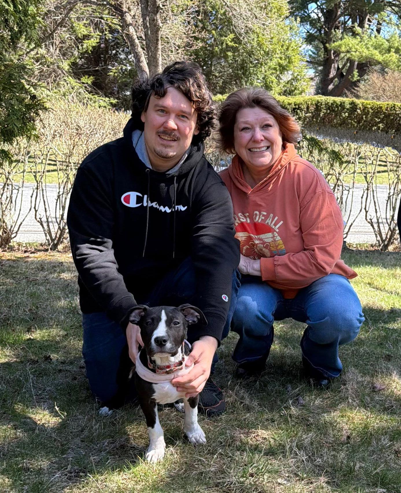 Enlarge Ava, a Adopted Pit Bull Terrier in Framingham, MA image 2/3