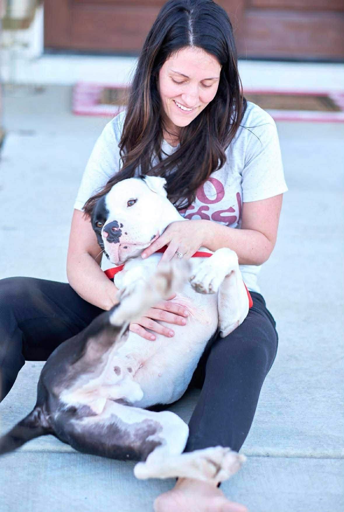 Enlarge Odin, a ADOPTABLE mixed breed in Alexander, AR image 3/5