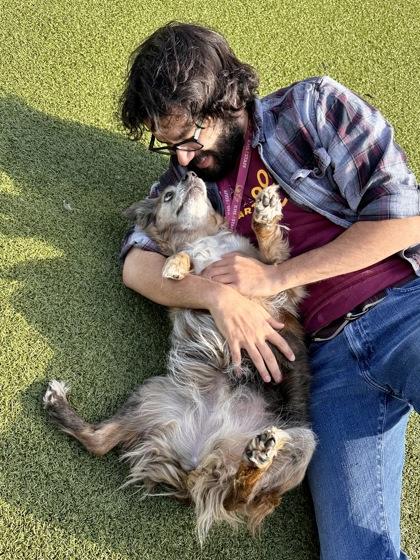 Enlarge Camey, a Adoptable mixed breed in Wichita, KS image 2/3