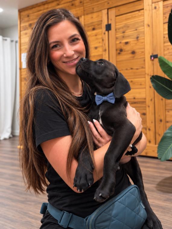 Enlarge Leo Little Romeo, a Adoptable mixed breed in Friendswood, TX image 3/6