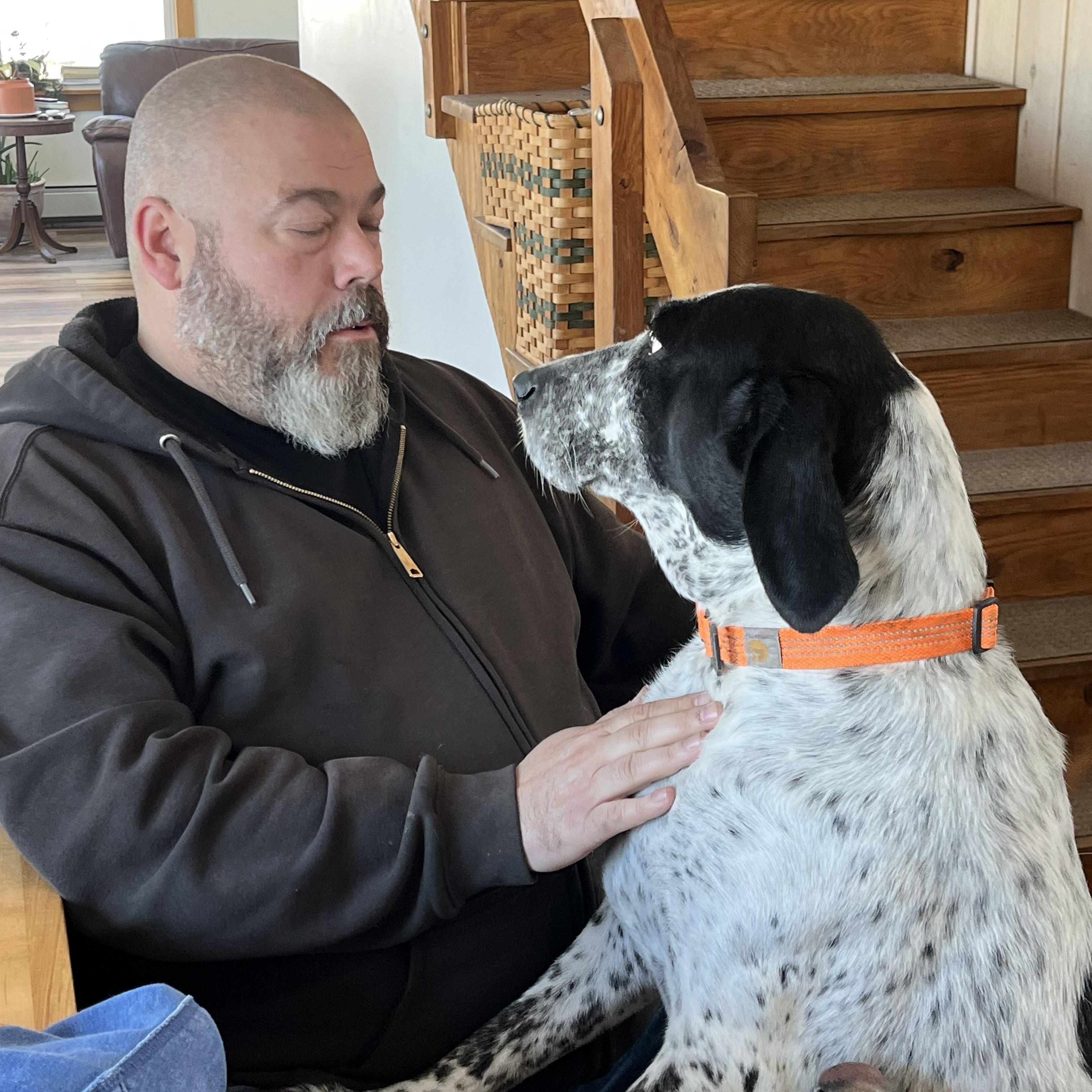 Enlarge Chelsea, a ADOPTABLE Bluetick Coonhound in Jamesville, NY image 3/4