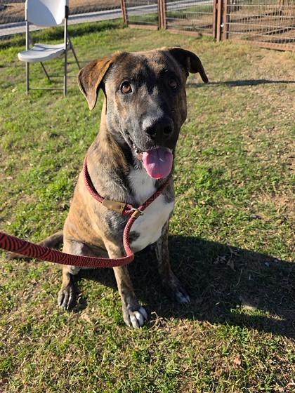 Jonesy — thumbnail 2