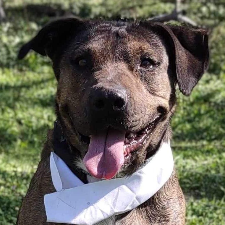 Susie — thumbnail 4