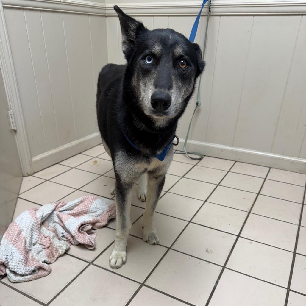 Flower — thumbnail 2