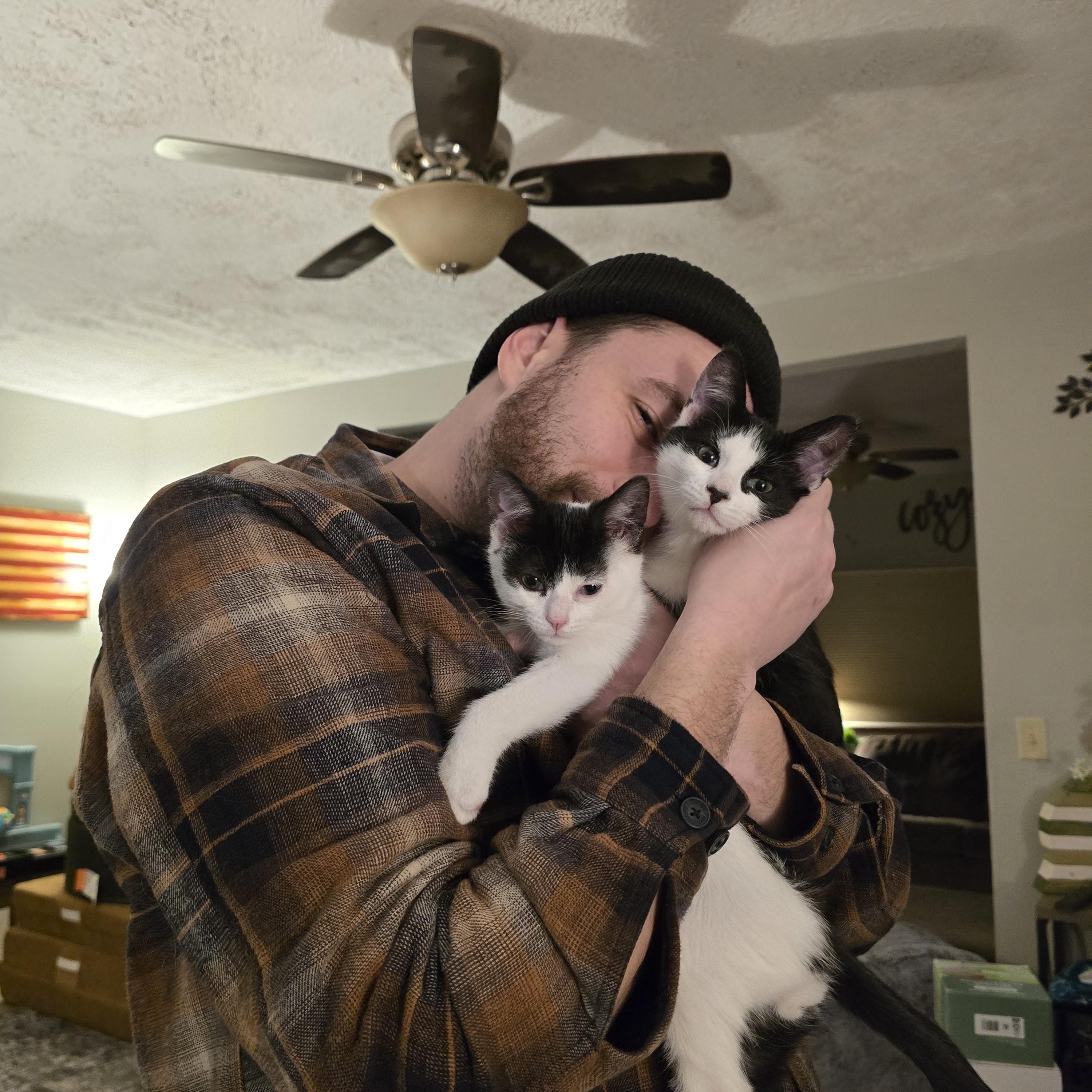 Enlarge Pippo and Zuzu, an adopted Tuxedo in East Lansing, MI image 2/6