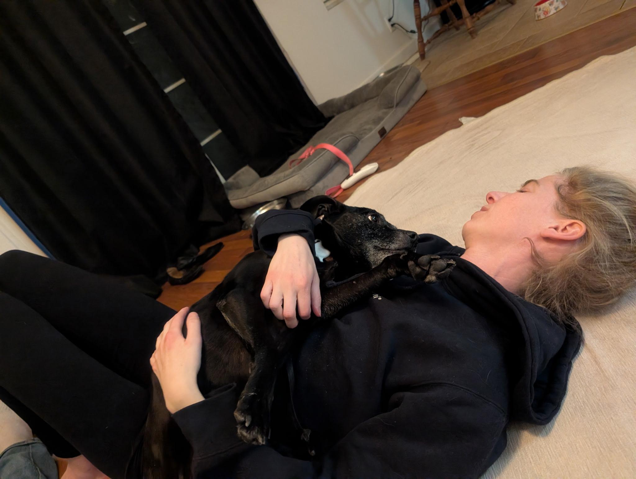 Ember, a ADOPTABLE mixed breed in Roy, UT image 3/5