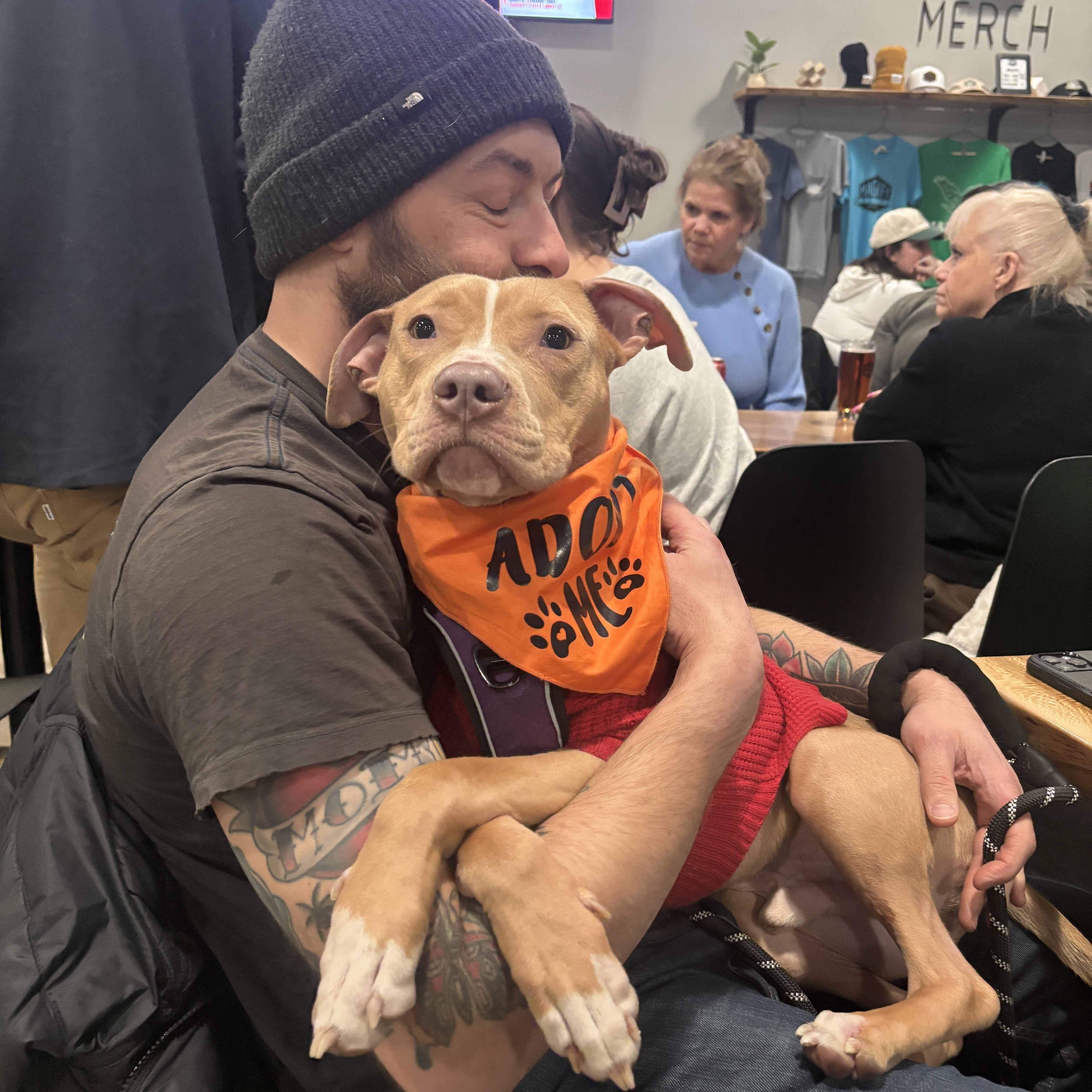 Enlarge Rooster, a ADOPTABLE Mixed Breed in Medford, NJ image 5/5