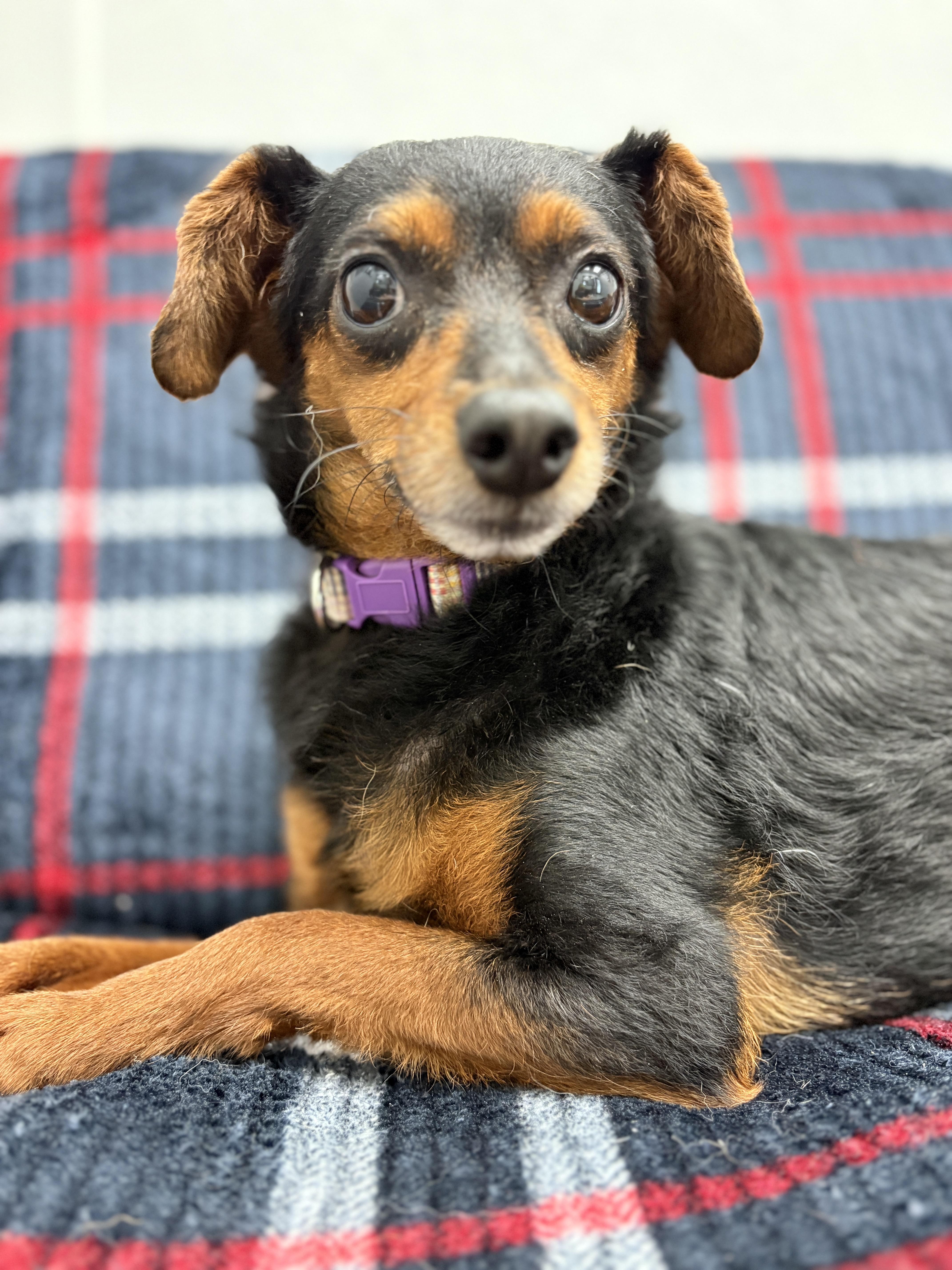 Lola photo 6