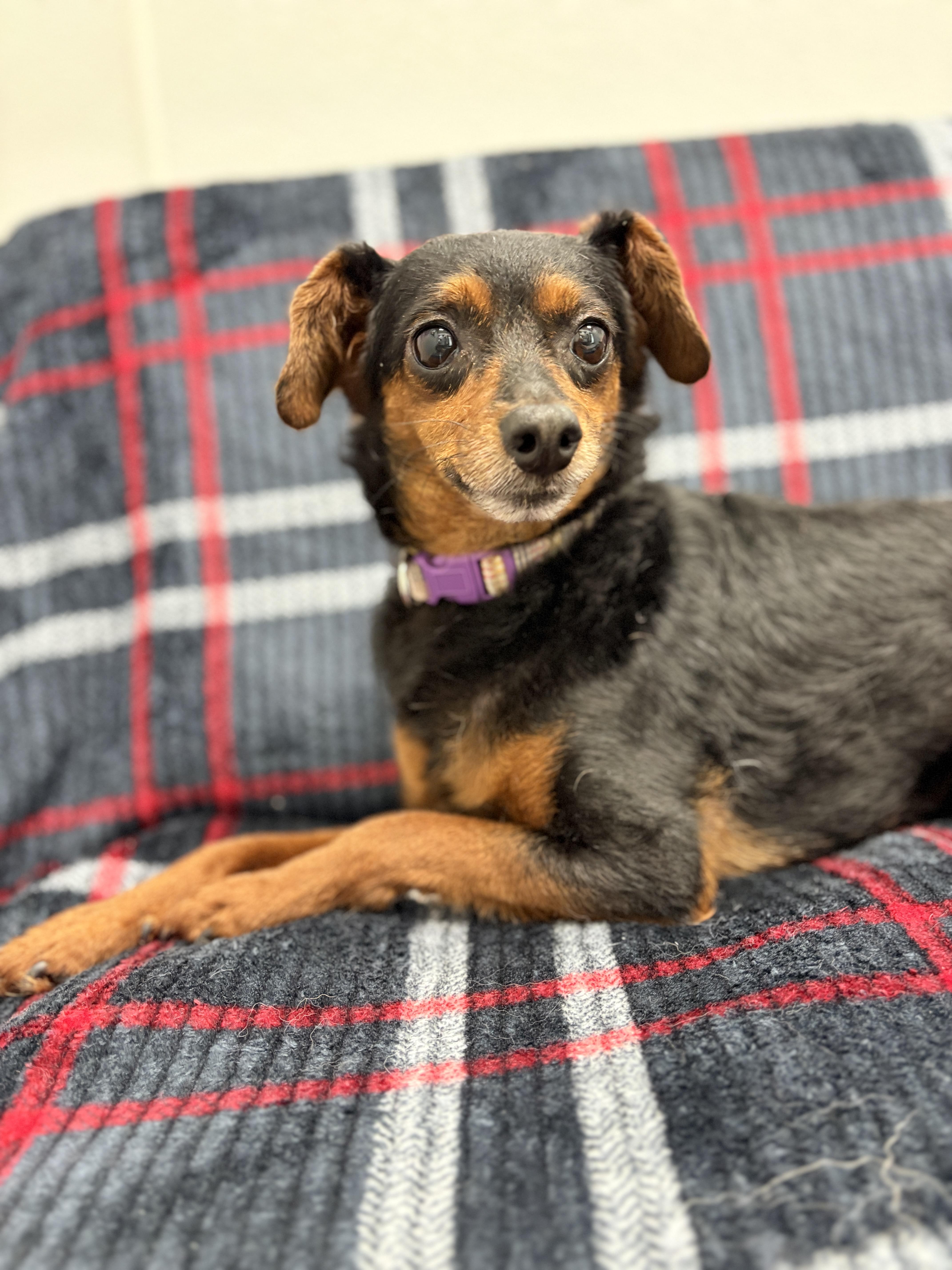Lola photo 2