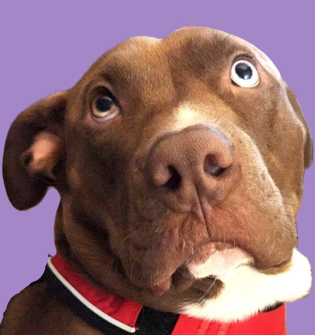 Belgium — thumbnail 2