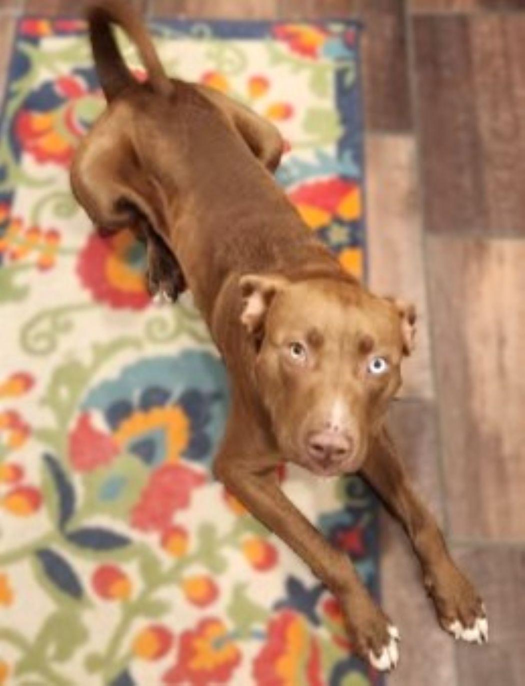 Belgium — thumbnail 3