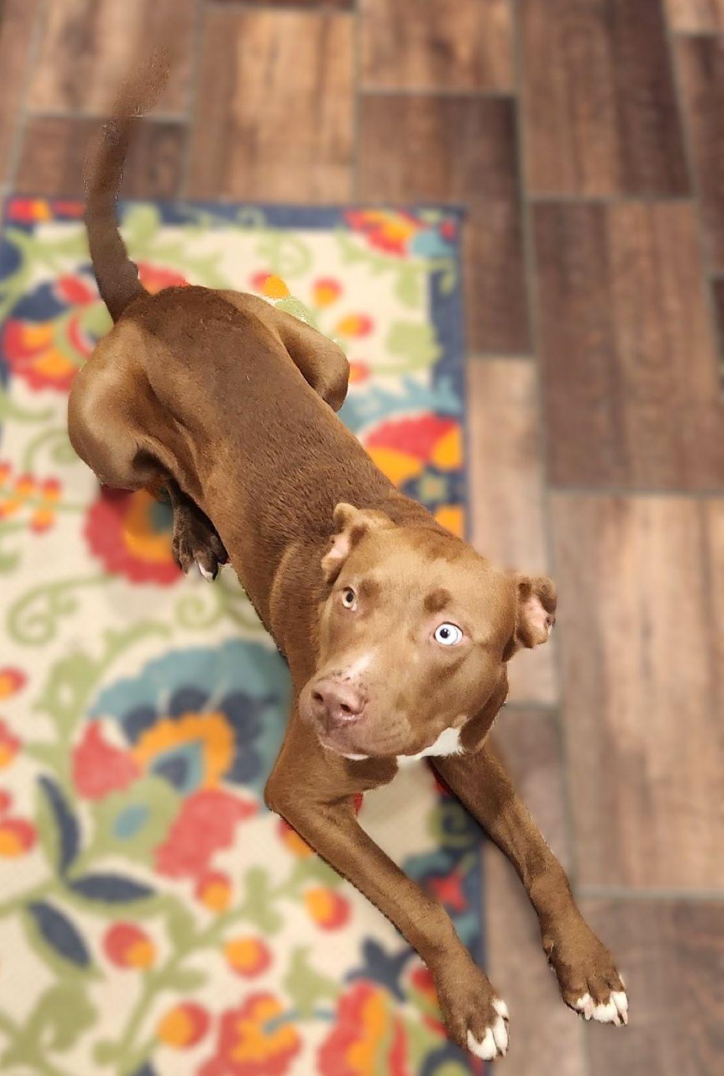 Belgium — thumbnail 4