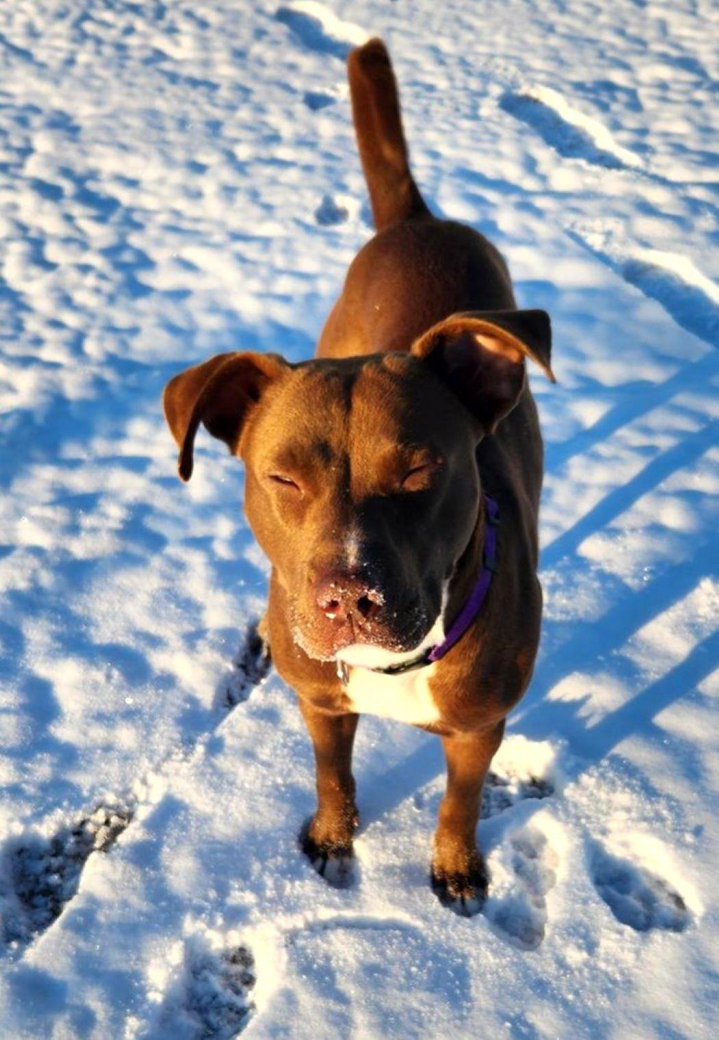 Belgium — thumbnail 5