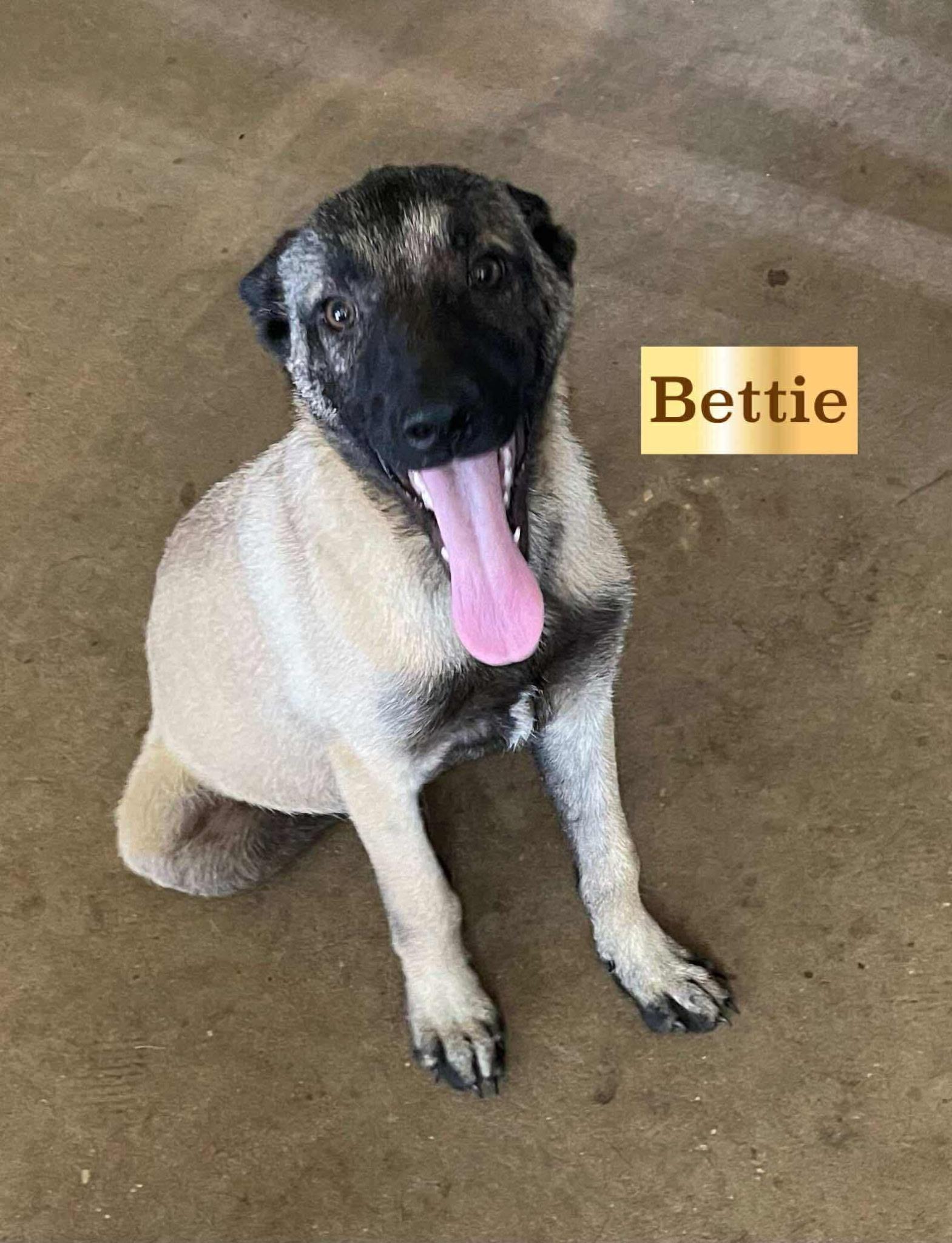 Bettie