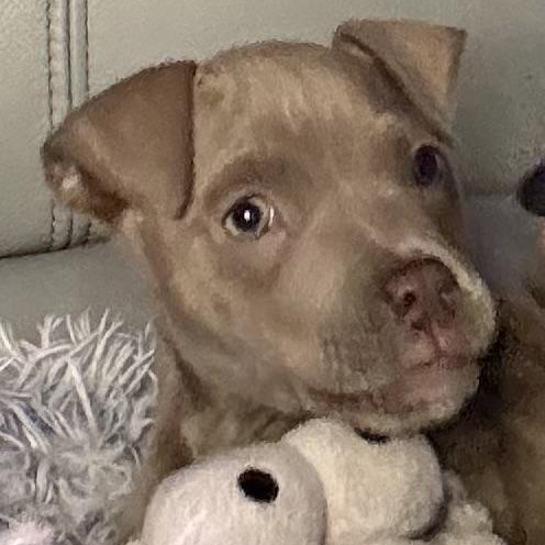 Flora — thumbnail 2