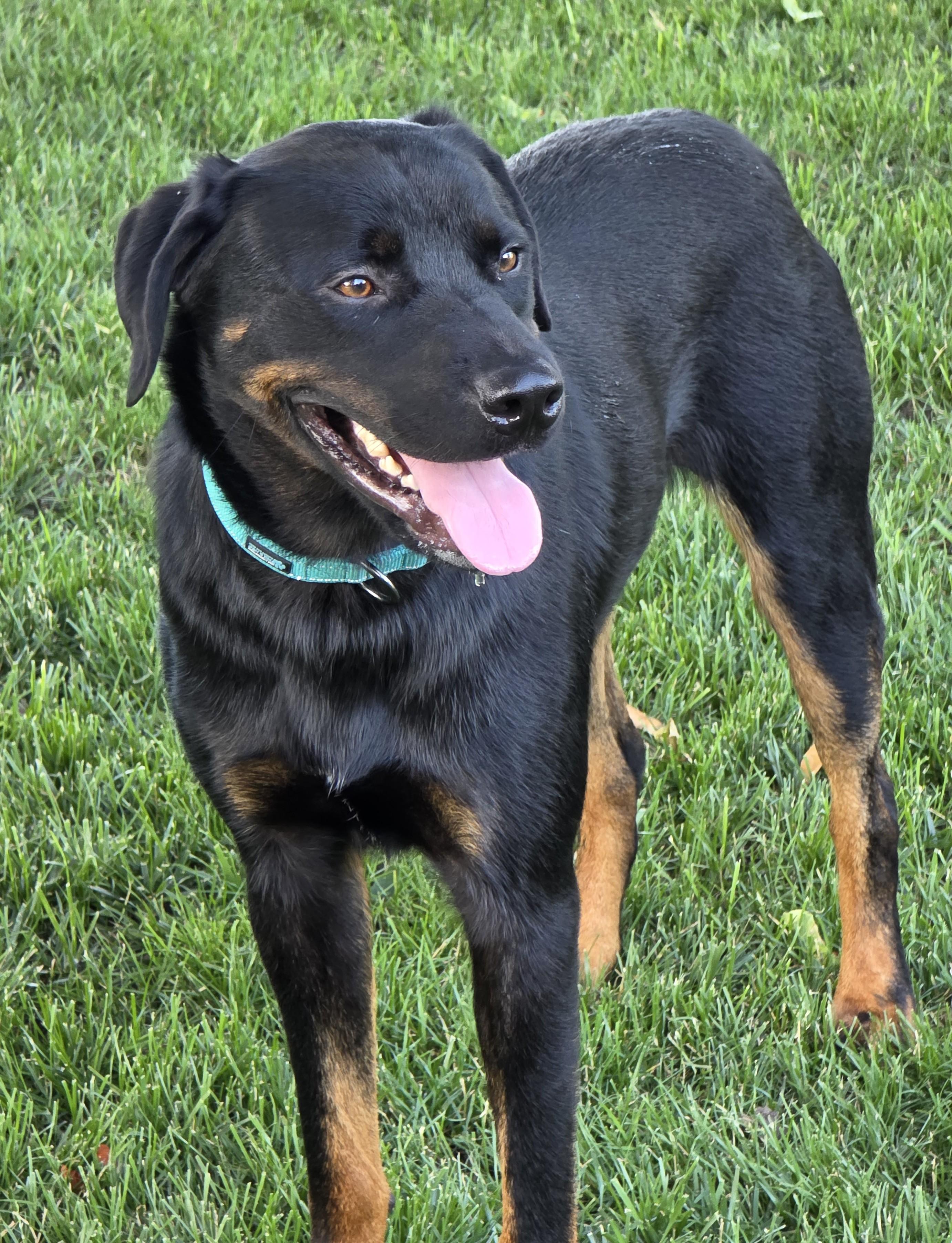 Ruff Tufferson photo 3