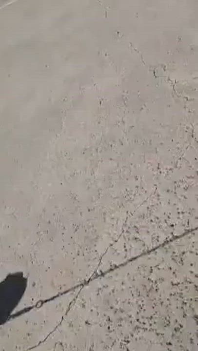 Enlarge Nala, a Adoptable Pit Bull Terrier in Temecula, CA video 10/11