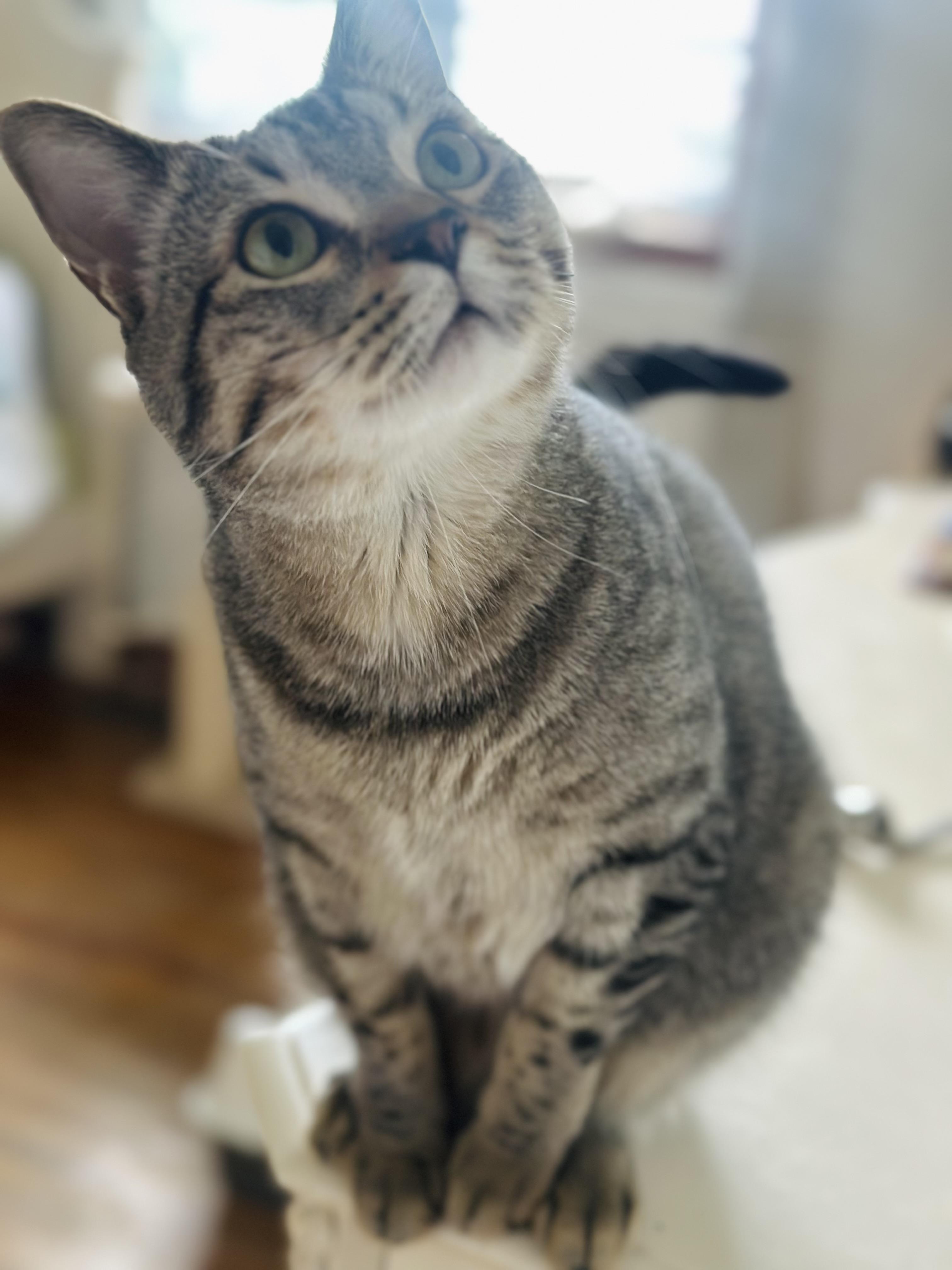 Theo
