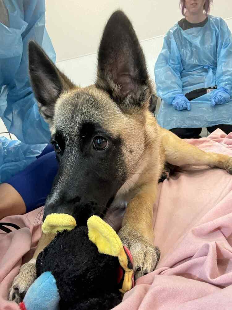 Amika FKA Amelia — thumbnail 3