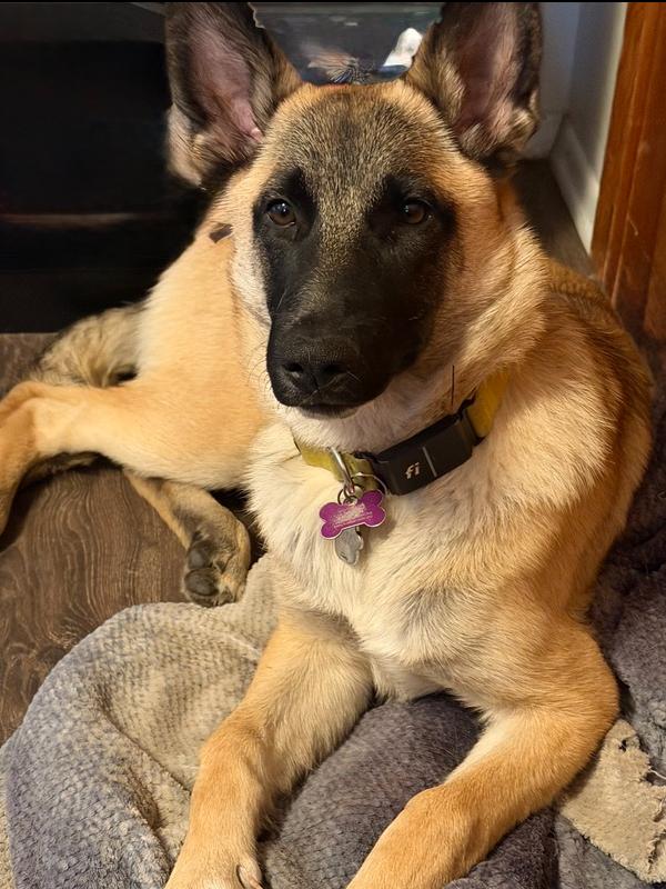 Amika FKA Amelia — thumbnail 4