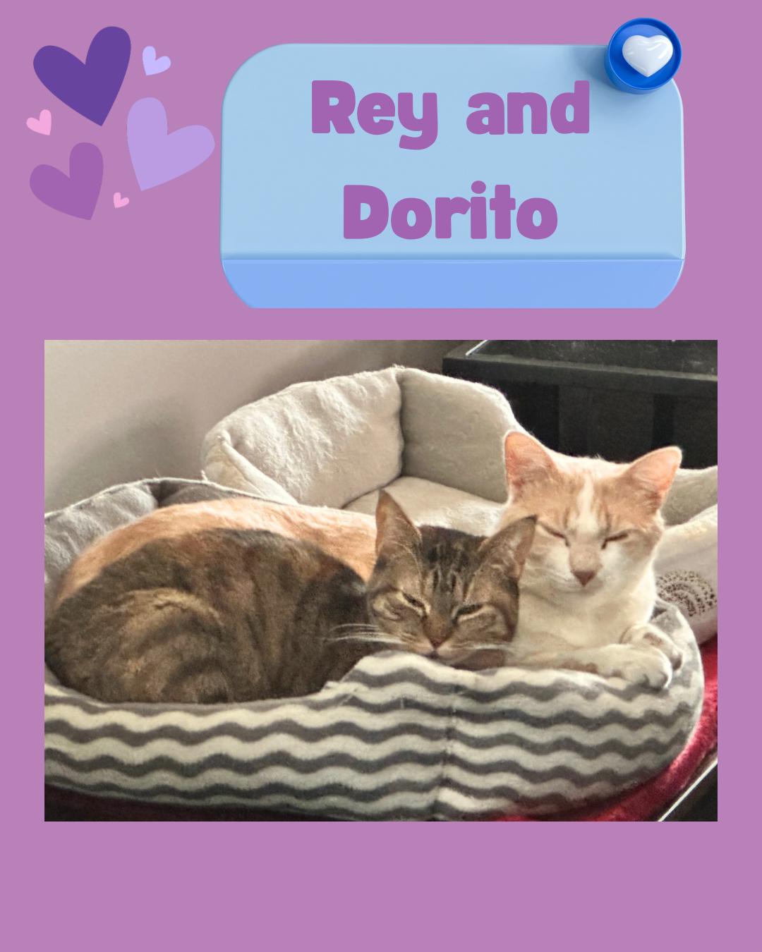 Dorito And Rey thumbnail 2