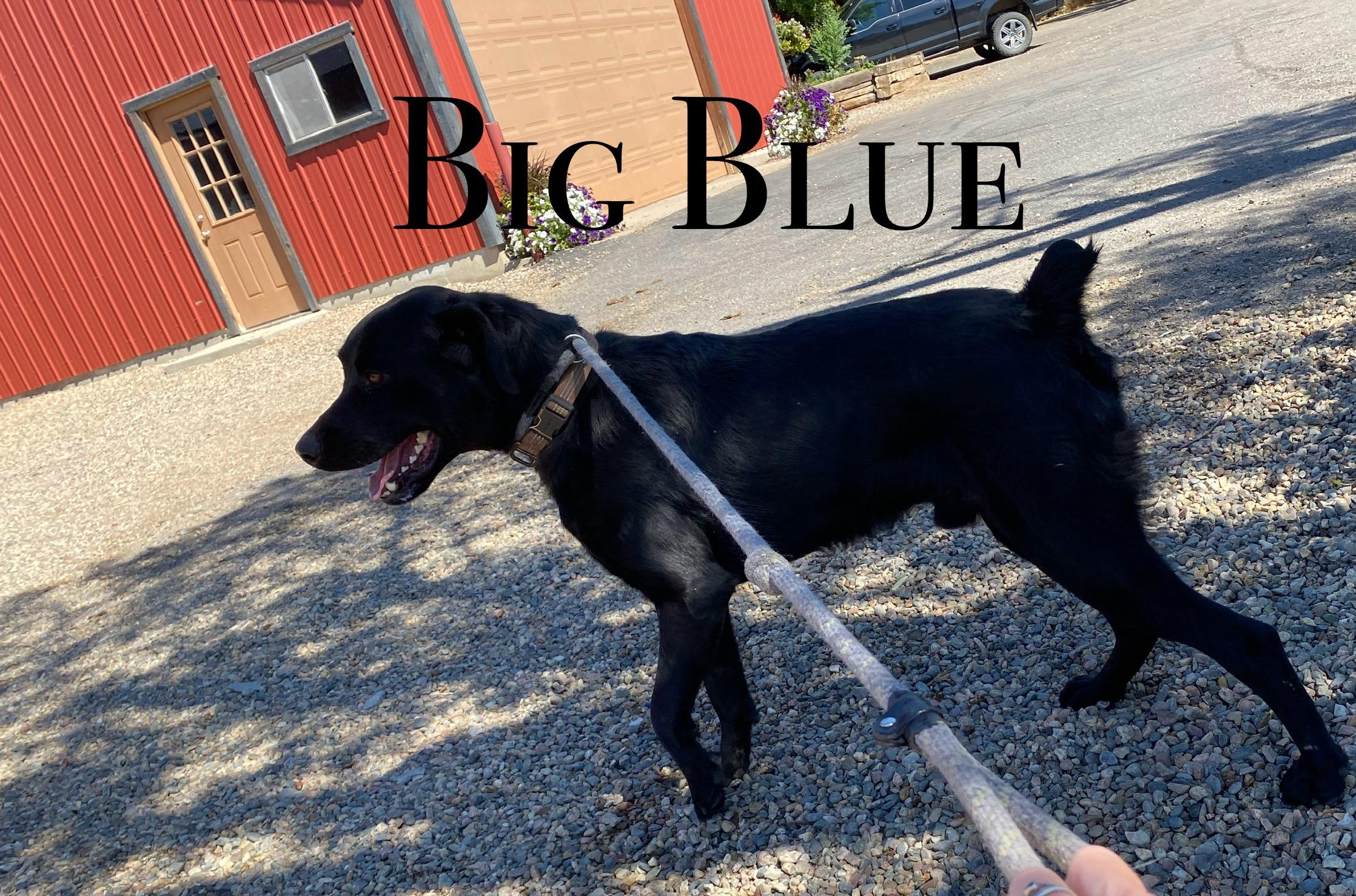 Big Blue
